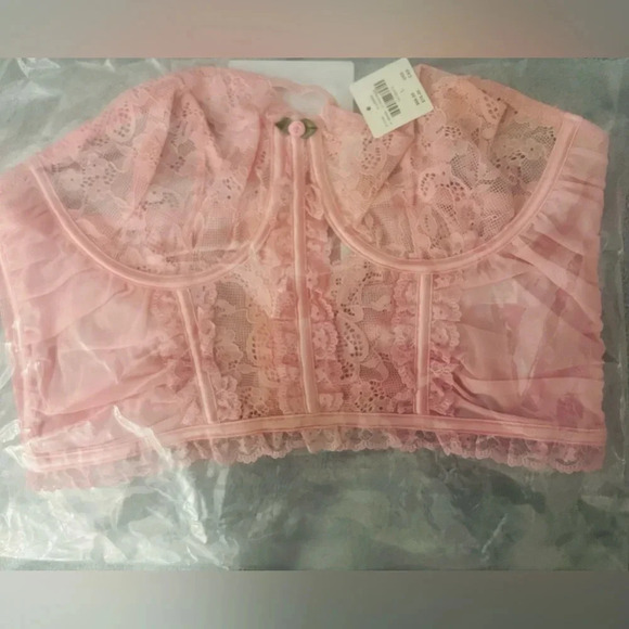 Anthropologie Pink Lace Bustier NWT Size Large - Picture 6 of 6